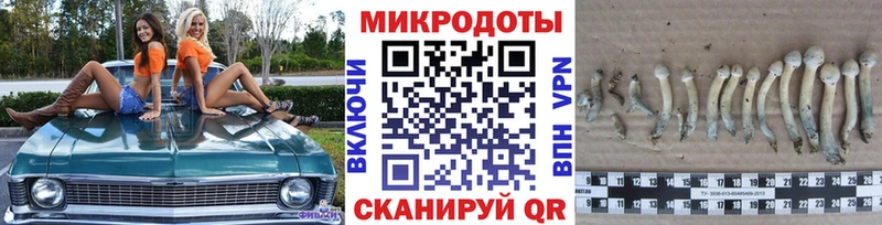 Галлюциногенные грибы мицелий  блэк спрут зеркало  Чекалин 