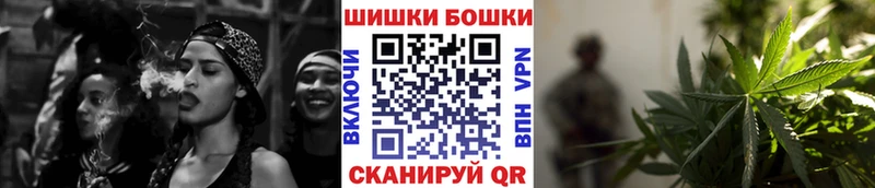 Конопля гибрид  наркота  Чекалин 